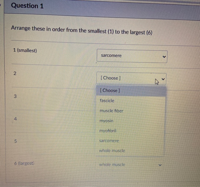 Solved Question 1 Arrange these in order from the smallest | Chegg.com