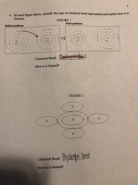 Solved . The diagram below shows a sequence of DNA (a | Chegg.com