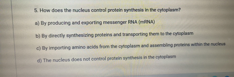 Solved How does the nucleus control protein synthesis in the | Chegg.com