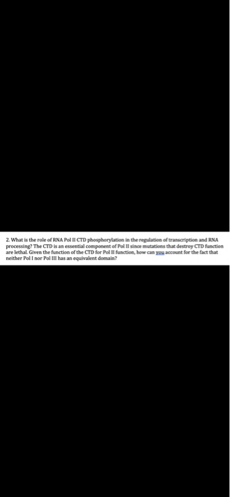 Solved 2. What is the role of RNA Poll CTD phosphorylation | Chegg.com