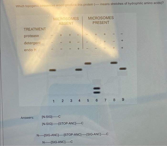 Solved MICROSOMES ABSENT MICROSOMES PRESENT TREATMENT 1 + 1 | Chegg.com