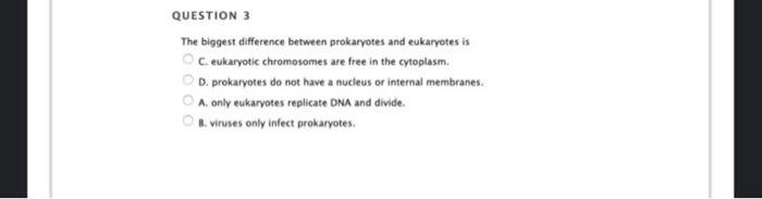 Solved QUESTION 3 The biggest difference between prokaryotes | Chegg.com