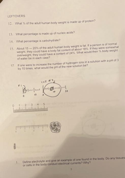 Solved 1. Looking at the following cell, identify and give | Chegg.com