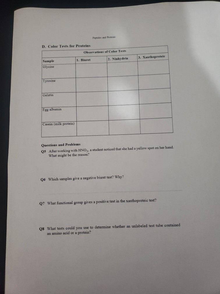 Solved Peptides and Proteins D. Color Tests for Proteins | Chegg.com