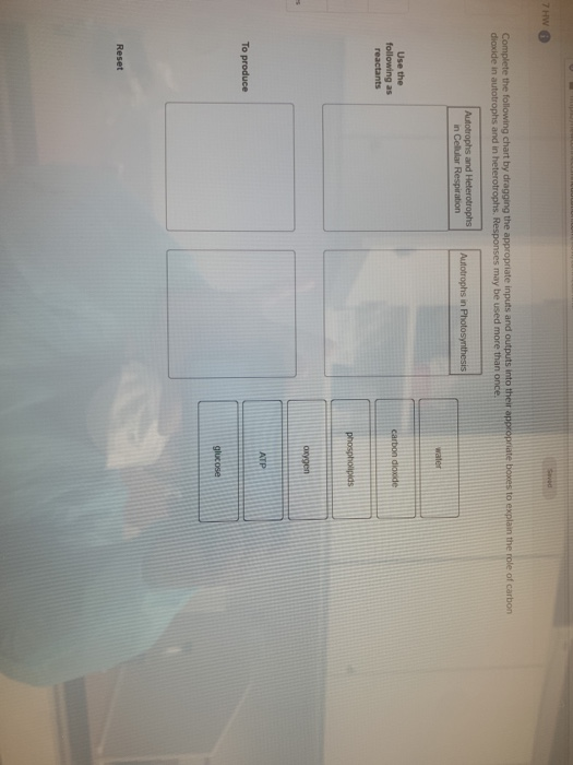 solved-7-hw-complete-the-following-chart-by-dragging-the-chegg