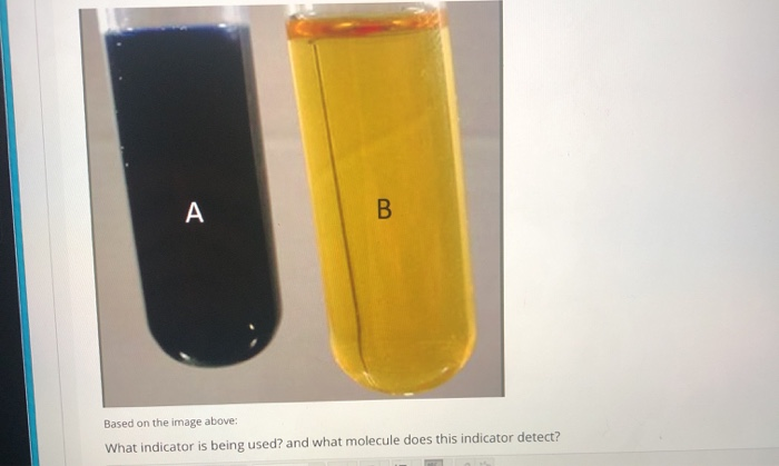 Solved A B Based On The Image Above: What Indicator Is Being | Chegg.com