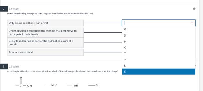 Solved Match the following description with the given amino | Chegg.com