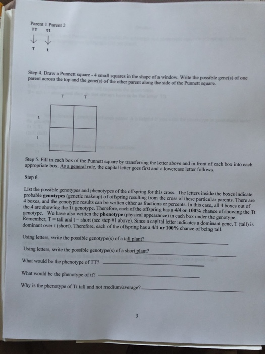 Solved Parent 1 Parent 2 TT tt T Step 4. Draw a Punnett | Chegg.com