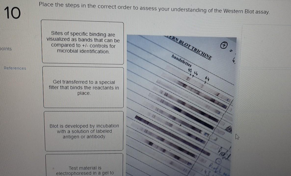 Solved Place the steps in the correct order to assess your | Chegg.com