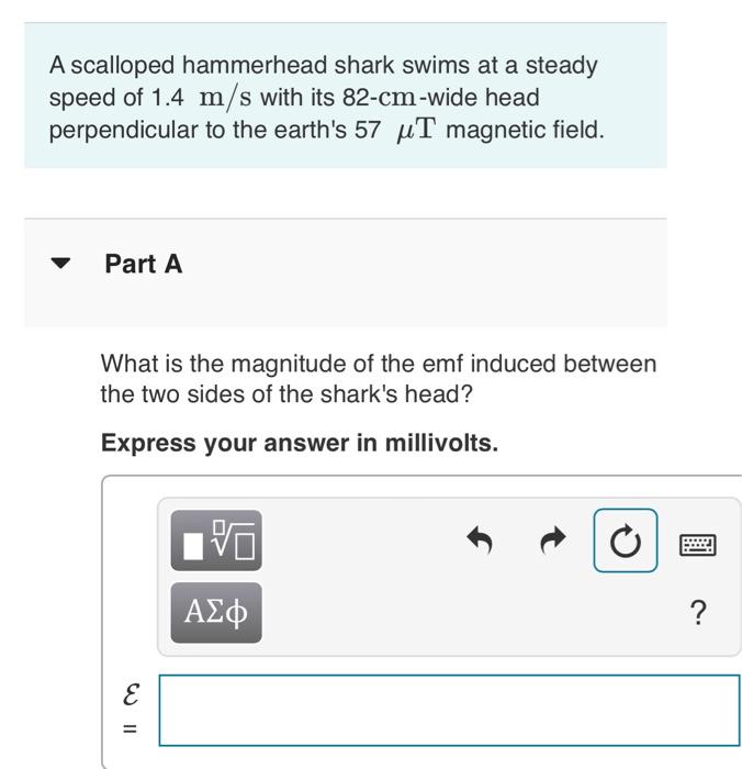 A scalloped hammerhead shark swims at a steady
speed of 1.4 m/s with its 82-cm-wide head
perpendicular to the earths 57 uT m