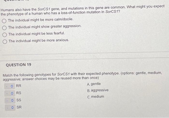 The following FOUR questions (16-19) all refer to the | Chegg.com