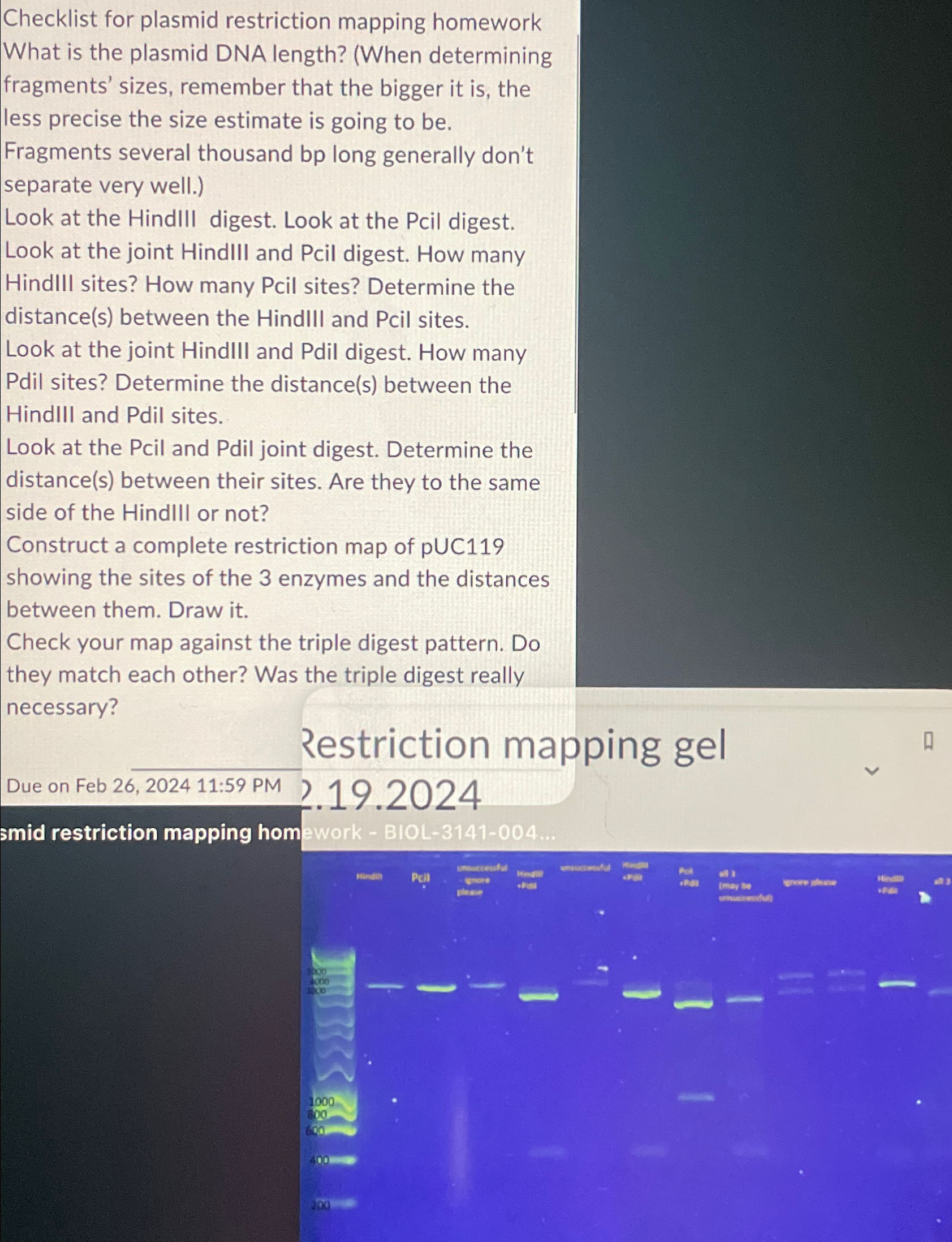 Checklist for plasmid restriction mapping homework | Chegg.com