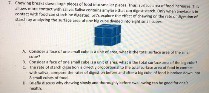 Solved 7 Chewing Breaks Down Large Pieces Of Food Into Chegg Com