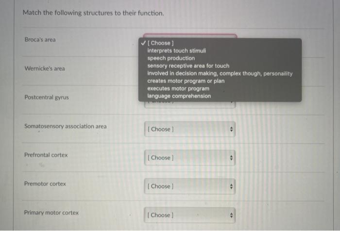Solved Match the following structures to their function. | Chegg.com