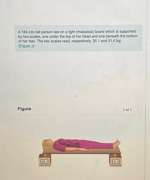 Solved A 184 cm tall person lies on a light massless board Chegg