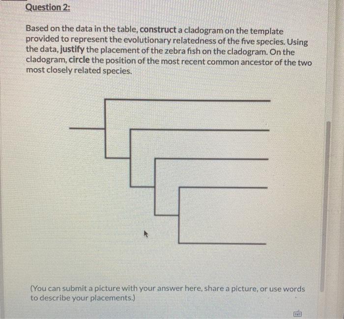 Question 2 Number Of Differences In The First 60 Chegg 