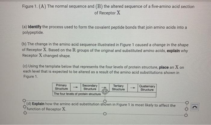 Solved Scientists are studying the structure and function of | Chegg.com