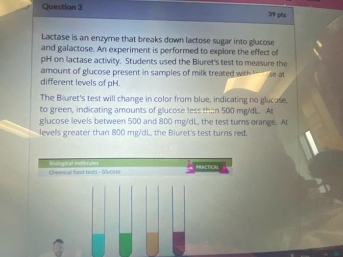 Solved Lactase is an enzyme that breaks down lactose sugar