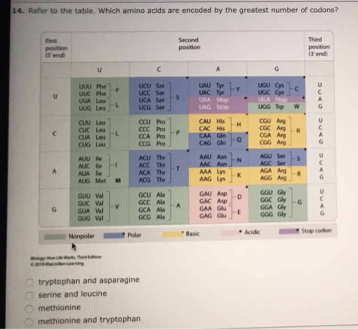 Solved 14. Refer to the table. Which amino acids are encoded | Chegg.com