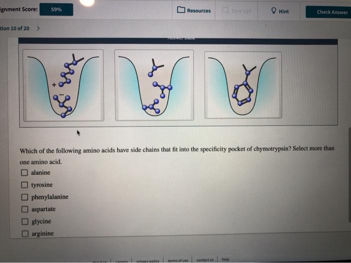 Solved Chymotrypsin, trypsin, and elastase are digestive | Chegg.com