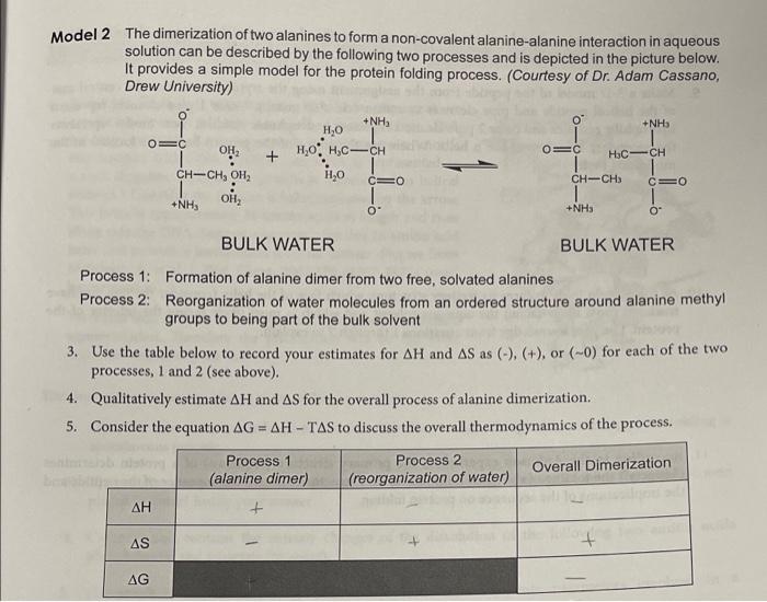 Solved Model 2 The dimerization of two alanines to form a | Chegg.com