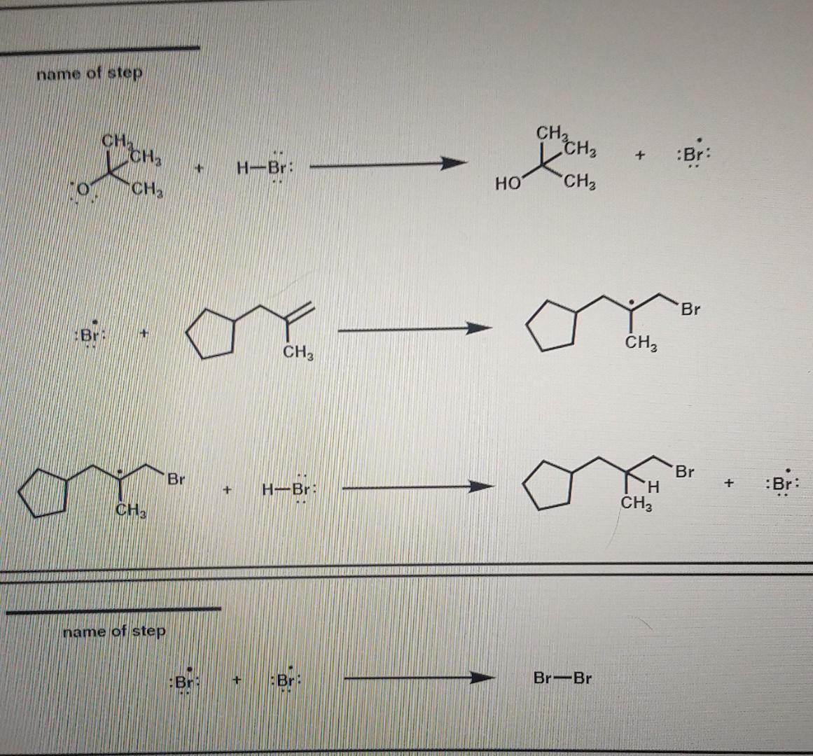 Solved Provide The Name For Each Step In The Radical | Chegg.com