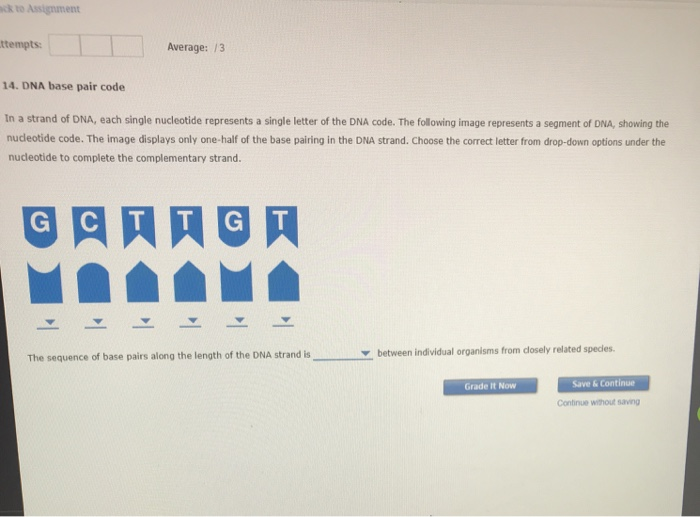 Solved ack to Assignment ttempts Average /3 14. DNA base