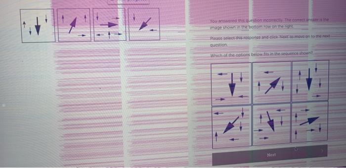 solved-which-of-the-options-below-fits-in-the-sequence-sh
