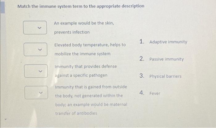 Solved Match the immune system term to the appropriate | Chegg.com