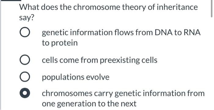 chromosome theory of inheritance