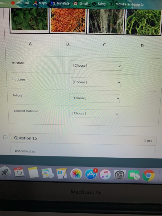Solved i need the best solution for question 12,13 and 14 to | Chegg.com