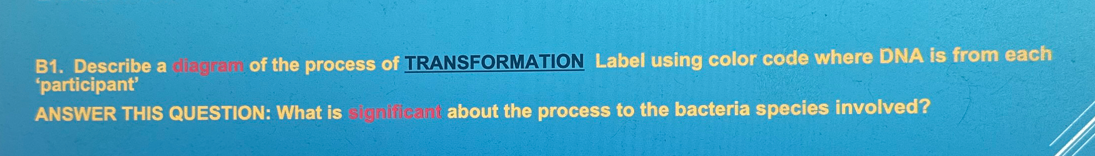 Solved Describe a of the process of TRANSFORMATION Label | Chegg.com