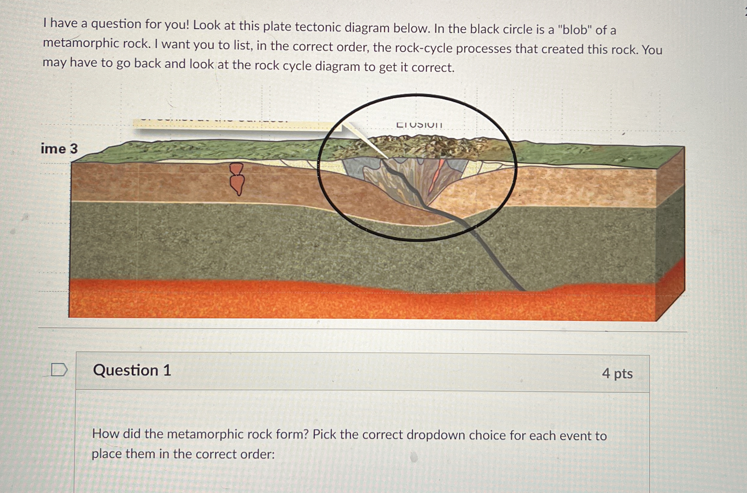 Solved Question 1How did the metamorphic rock form? Pick the | Chegg.com