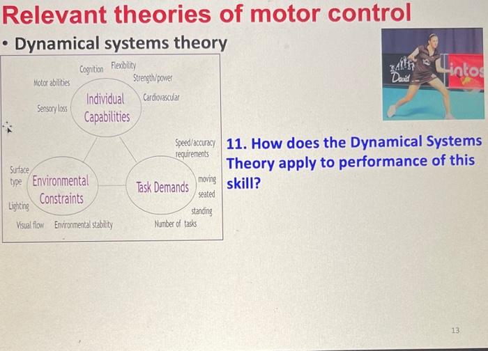 Solved Hintos Relevant theories of motor control • Dynamical | Chegg.com