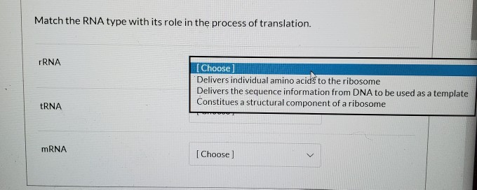 Solved Match the RNA type with its role in the process of | Chegg.com