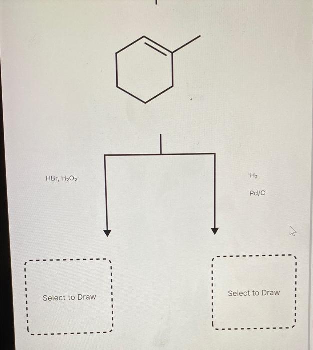 Solved A common alkene starting material is shown below.