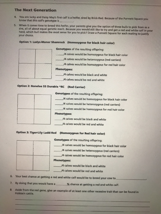 case study exercise #1 holstein coat color