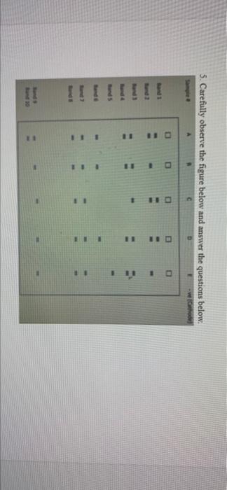 Solved 1. What does the above figure represent? 2. Which | Chegg.com