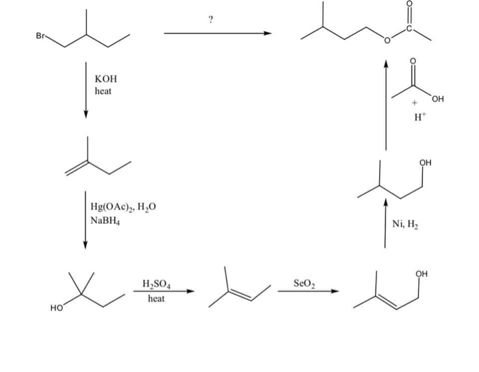 Solved Please Explain Why Or What The Reagents Do At Each Of 