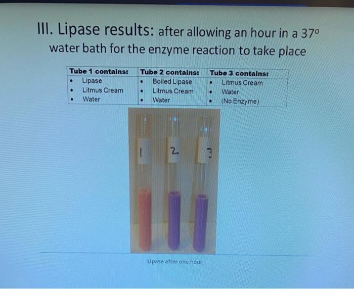 Solved Record the results for the lipase tubes Indicate for