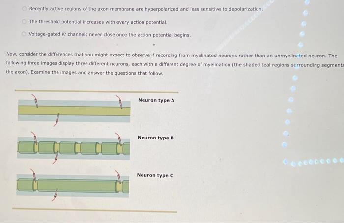 Solved 3. Action potential propagation and myelin sheaths | Chegg.com