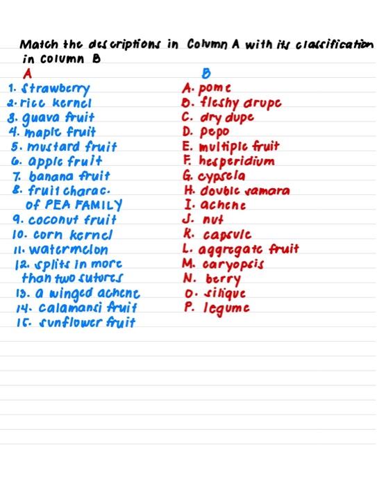 Solved D. pepo Match the descriptions in Column A with its | Chegg.com
