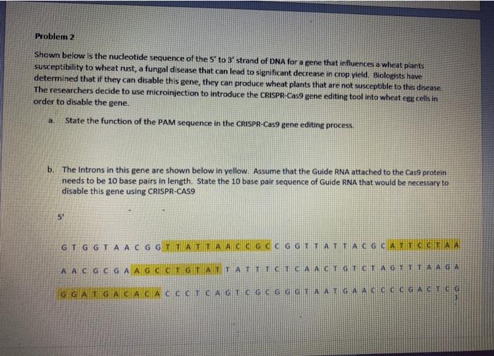 Solved Problem 2 Shown below is the nucleotide sequence of | Chegg.com