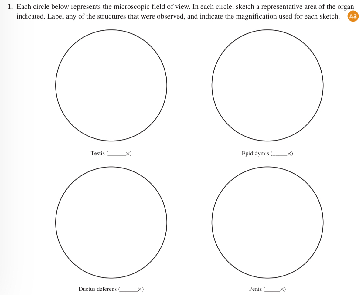 Solved Each circle below represents the microscopic field of | Chegg.com