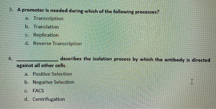 Solved 3. A Promoter Is Needed During Which Of The Following | Chegg.com