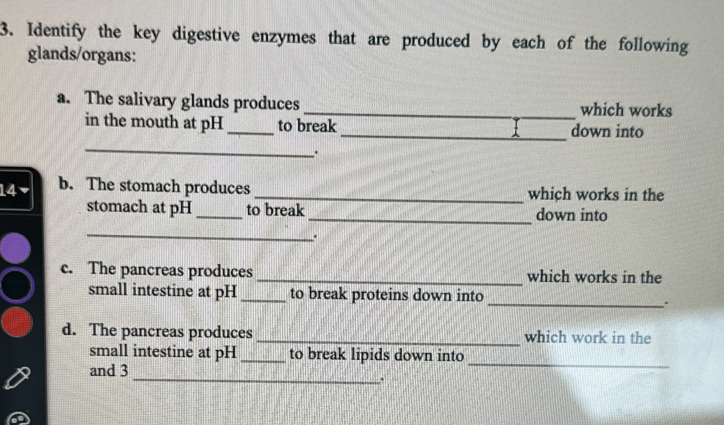 Solved Identify the key digestive enzymes that are produced | Chegg.com