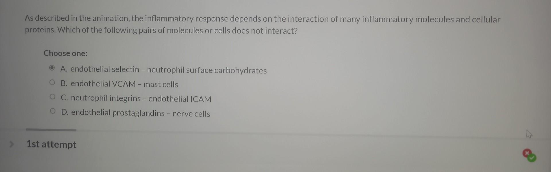 Solved As Described In The Animation The Inflammatory Chegg