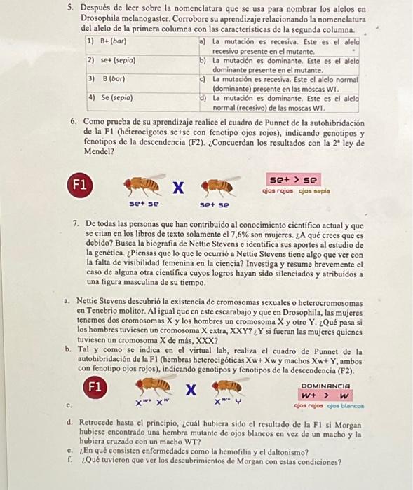 5. Después de leer sobre la nomenclatura que se usa para nombrar los alelos en Drosophila melanogaster. Corrobore su aprendiz