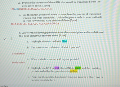 Solved A. ﻿Provide the sequence of the mRNA that would be | Chegg.com