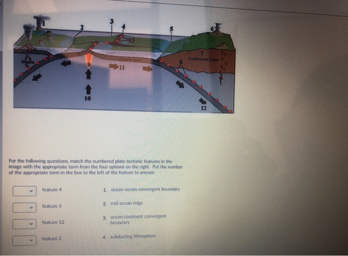 Solved Continental Crust For the following questions, match | Chegg.com